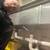 Drain cleaning fully insured, graduated plumbing school 14 thumbnail