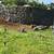 Walls, slabs, masonry, framing, excavation, septic, land clearing 7 thumbnail