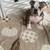 English bulldog puppy 2 thumbnail