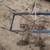 vintage baby stroller yard art 1 thumbnail