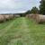Grass hay 4 thumbnail