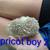 Baby hedgehogs 2 left! 3 thumbnail