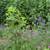 Bucktown - 3 bed / 2 bath 21 thumbnail