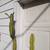 Plants--Houseplants--7 Large, old column cactus plants--1 owner 21 thumbnail
