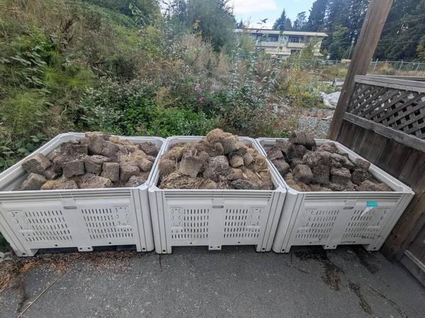 Free root-balls for pick up 1