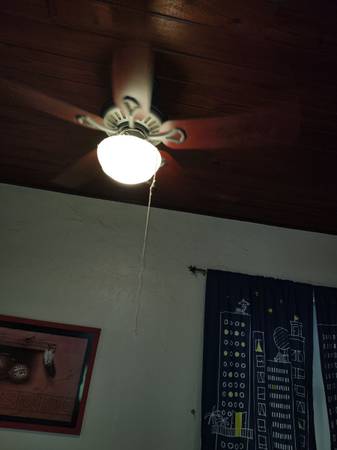 $800 / 1br - Disponible ahora, habitación privada de 1 dormitorio con baño, $800 al mes (Williston)63823028038913120