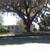 Peaceful and cozy lake front 1/1  duplex 1 thumbnail