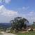 Residential Lots located in Sun Valley Antipolo 10 thumbnail