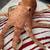 Huge Plush Octopus Stuffed Animals – Excellent Condition 2 thumbnail