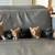 Cute friendly kittens $60 1 thumbnail