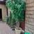 Faux Tree 9'.  $5 2 thumbnail