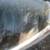 14 foot Alumacraft Fishing Boat (included and optional motors) 3 thumbnail