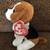 Banjo the Dog TY Beanie Baby-10/25/2011 2 thumbnail