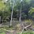 Logger or sawmill 7 thumbnail