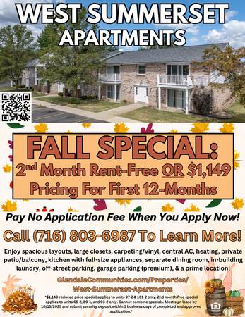 $1,149 / 1br - 1-Bed Apt With Amenities & Great Location / West Summerset Apartments (Amherst)63925203643267120