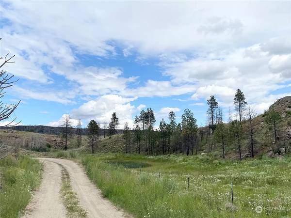 Okanogan 2-20acres parcels at Cook Lake on Cameron Lake Road 1