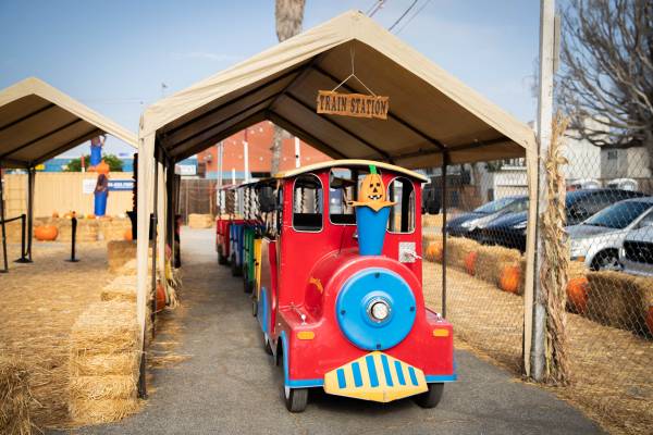 Children's train driver /Entertainer 1