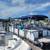 Aloha Tritoon 23' Pontoon Boat 2021 3 thumbnail