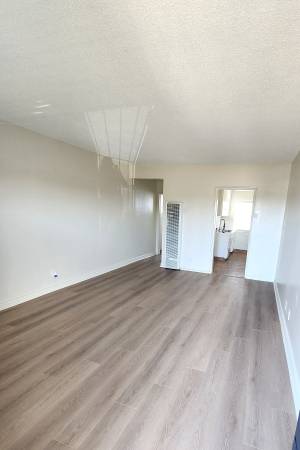 DELUXE SPACIOUS STUDIO #25 1