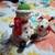 Christmas 3 Hallmark Animated Snowman and Friends 5 thumbnail