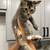 Kitty 1 thumbnail