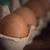 Farm Fresh Chicken Eggs 1 thumbnail