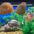 Oscar fish 1 thumbnail