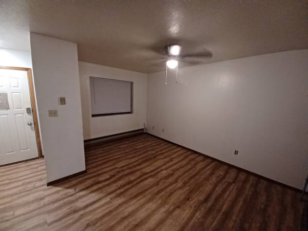 $1,195 / 1br - 725ft2 - 1 bed 1 bath Angel Fire / Eagle Nest / Red River (Angel Fire)63659815554691124
