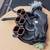 Toyota (2GR-FE) Upper Intake Manifold Factory OEM 3 thumbnail