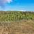 Awesome off-grid recreational lot in Kasilof 13 thumbnail