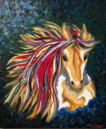 Horse of Many Colors 1