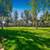Planned social events for residents, Personal Patios 1 thumbnail