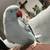 Lost blue Indian ring neck bird 2 thumbnail