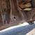 2003 DODGE DAKOTA SLT 87,000 MI 4X4 3 thumbnail