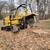 Cheap & Affordable Stump Grinding Easy & Quick 3 thumbnail
