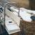 Stainless steel farrowing crates 6 thumbnail