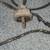 attic find   electric  EMERSON fan 2 thumbnail
