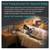 Sound Frequency Machine,Meditation Generator Instrument,Tone Device To 6 thumbnail