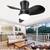 Brand New 22 Inch Ceiling Fan with Lights and Remote 1 thumbnail