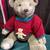 Vintage Gund Bear 1 thumbnail
