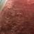 Vintage Shanghai Style Rug 9’x12’x3/4” thick 16 thumbnail
