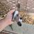 Central Pneumatic 69866 Medium Barrel Air Hammer 3000 BPM 90 PSI Max 6 thumbnail