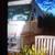 1978 Southwind Fleetwood moterhome seller has new phone number if sold 1 thumbnail