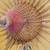 Vintage PARASOLS   1 WHITE  / 1 YELLOW priced each 15 thumbnail
