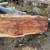 SLABS Live Edge mantles, counter tops, desk, shelves, etc 15 thumbnail