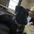 Rehoming for a American Staffordshire Terrier Mix 2 thumbnail