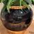 Handmade Ceramic Planter, Vintage Glaze, Black with Gold Trim 2 thumbnail