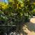 OCEAN VIEW fully renovated 1 bed 1 bath unit 21 thumbnail