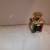 FS FRAGRANCE DU BOIS MILANO 1 thumbnail