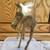 /// VTG BRASS HORSE FIGURINE STATUE \\\ 2 thumbnail